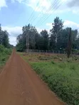 Viwanja Vitatu vya 1/8 Ruiru Makazi - 3