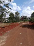 Viwanja Vitatu vya 1/8 Ruiru Makazi - 5