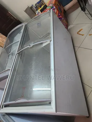 Exuk Commercial Display Freezer B6