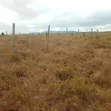 Prime Plots for Sale in Konza, Malili - 1