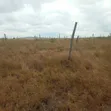Prime Plots for Sale in Konza, Malili - 2