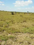 Plots for Sale in Kajiado Near KCA University - 3
