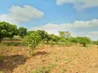 Eneo la Eka 15 Linauzwa Muthwani, Machakos - 1