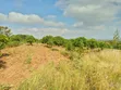 Eneo la Eka 15 Linauzwa Muthwani, Machakos - 2