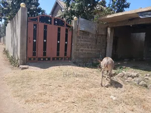 Prime Residential Plot in Ruiru Ndururumo