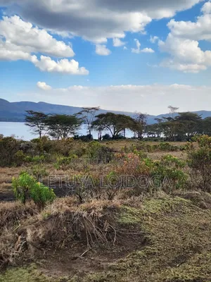 4 Acres Land for Sale, Lake Naivasha