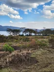 4 Acres Land for Sale, Lake Naivasha - 1