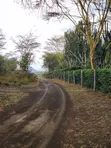 4 Acres Land for Sale, Lake Naivasha - 3