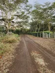 4 Acres Land for Sale, Lake Naivasha - 4