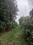 50x100 Plot for Sale Near Nembu Town, Gatundu South - 4