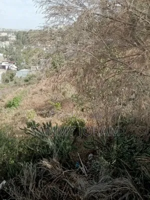 Residential Plot for Sale in Miwongoni Macha