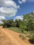 95 Acres Farmland for Sale, Majengo Ya Wakala, Marafa - 1