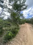 95 Acres Farmland for Sale, Majengo Ya Wakala, Marafa - 2