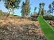 Makuyu Kamahuha Igikiro Prime Plots - 3