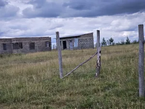 1/8 Acre Plot for Sale in Malaa