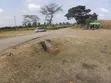 Kitalu Bora Mai Mahiu Kinauzwa - 2