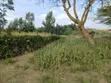 Kitalu Bora Mai Mahiu Kinauzwa - 5