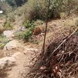 Kitalu cha 60x60 Kinauzwa Mlolongo pH 3 - 2
