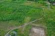 Joska Savannah Estate - Prime 50x100 Plot for Sale - 1