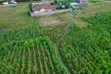 Joska Savannah Estate - Prime 50x100 Plot for Sale - 2