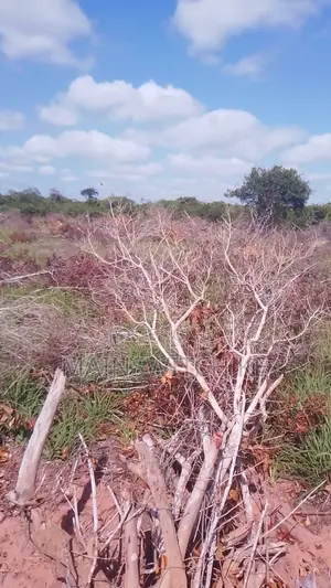 27 Acres Farmland for Sale in Marafa, Kilifi County