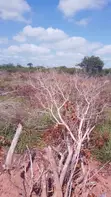 27 Acres Farmland for Sale in Marafa, Kilifi County - 1