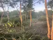 27 Acres Farmland for Sale in Marafa, Kilifi County - 2