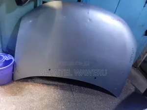 Mitsubishi Outlander 2015-2016 Bonnet