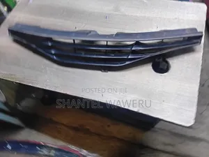Toyota Wish 2010 Grille