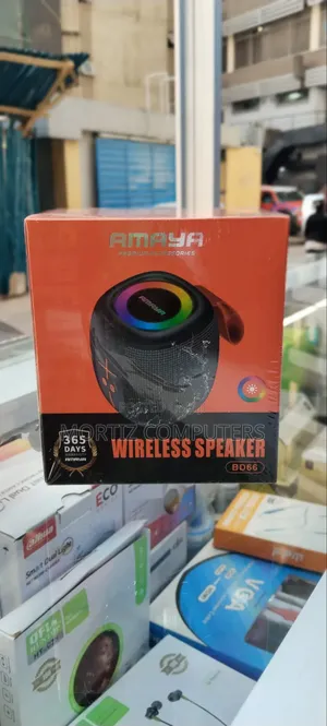 BD66 Wireless Speaker