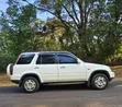 Honda CR-V 1998 White - 1