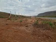 Vipande 50x100 Vinauzwa Nachu - 1