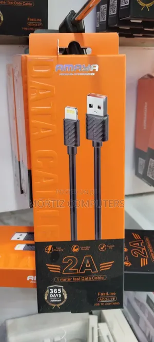 USB to Lightning Cable - Fast Charging