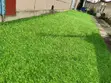 Artificial Turf Grass - 1