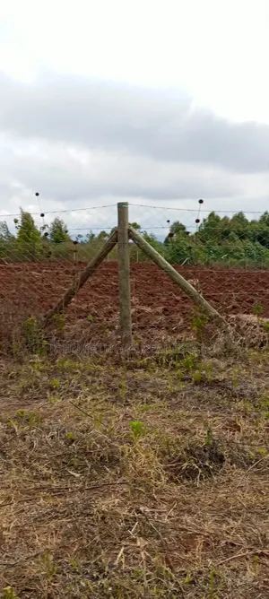 Residential Plots for Sale in Kamangu