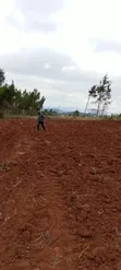 Residential Plots for Sale in Kamangu - 3