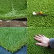 Trim-to-Fit Grass Carpet - 1