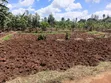 50x100 Prime Plot for Sale in Ngenda - 1