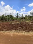 50x100 Prime Plot for Sale in Ngenda - 2