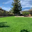 Soft Underfoot Artificial Grass Carpet - 1