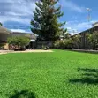Soft Underfoot Artificial Grass Carpet - 2