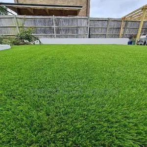 Premium Grass Carpet for Backyard