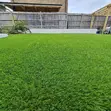 Premium Grass Carpet for Backyard - 1