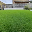 Premium Grass Carpet for Backyard - 2