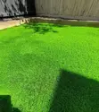 Best Artificial Grass Carpet - Mpya Kabisa - 2