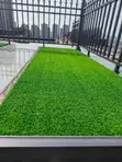 Easy-to-Manage Grass Carpet - 1