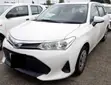 Toyota Corolla Fielder 2019 White - 1
