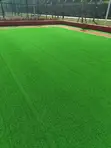 Artificial Grass Carpet Roll Mpya Kabisa - 2