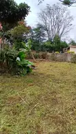 50x100 Plot for Sale in Muthiga, Kikuyu - 1