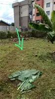 50x100 Plot for Sale in Muthiga, Kikuyu - 3
